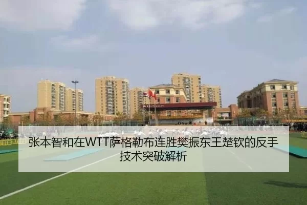 张本智和在WTT萨格勒布连胜樊振东王楚钦的反手技术突破解析